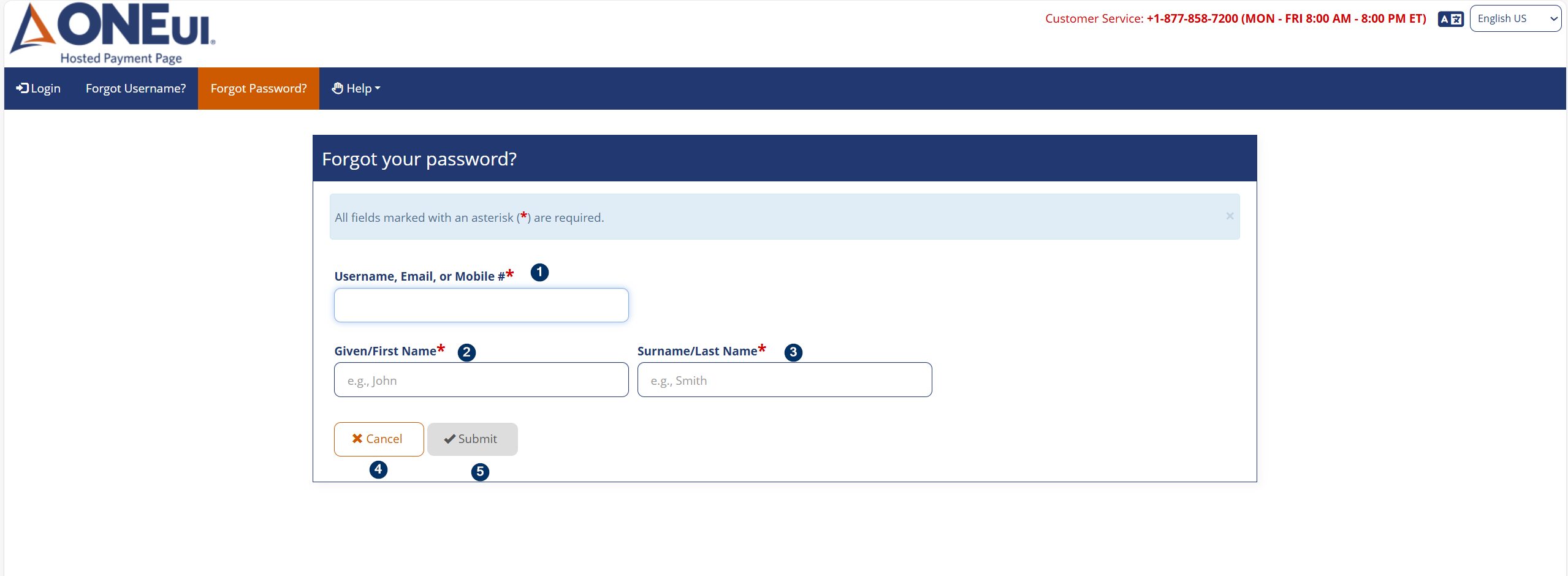 Forgot Password screen fields