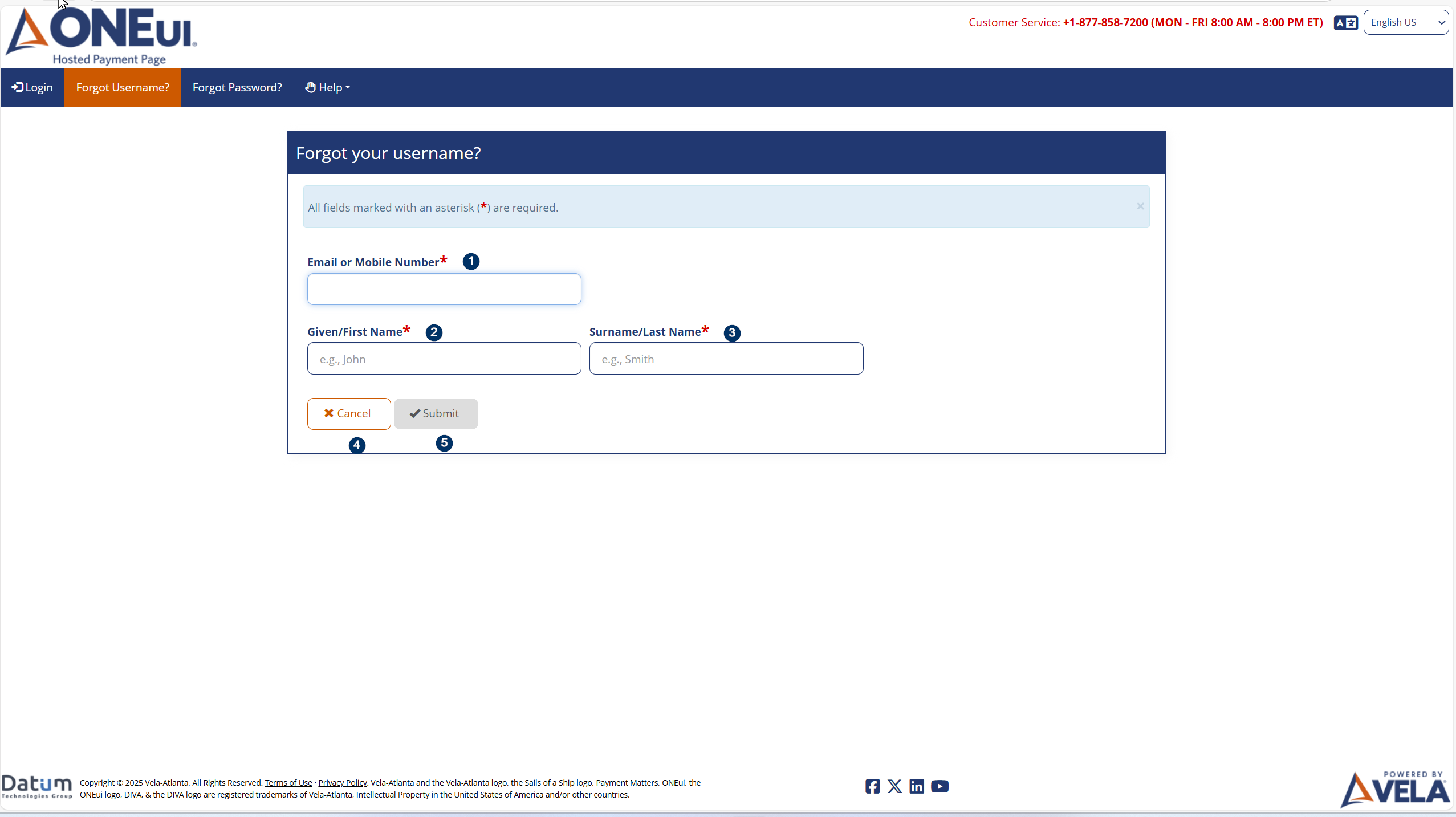 Forgot Username screen fields