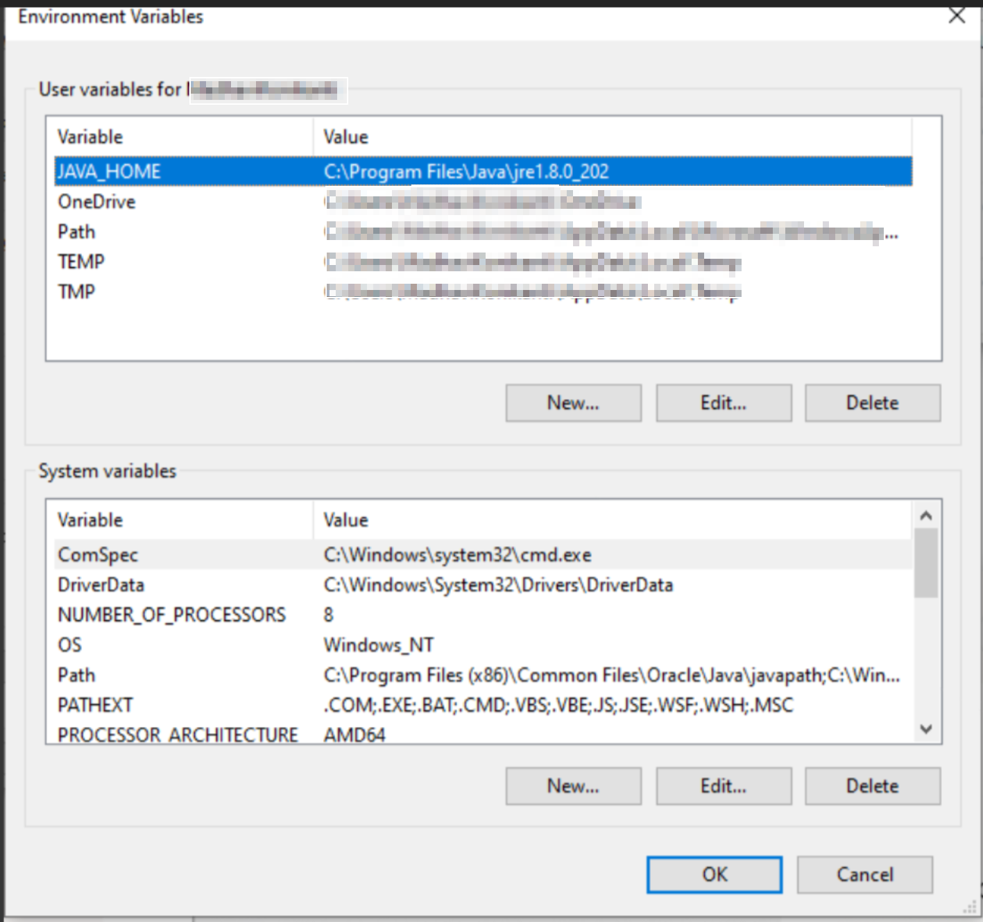 Environment Variable