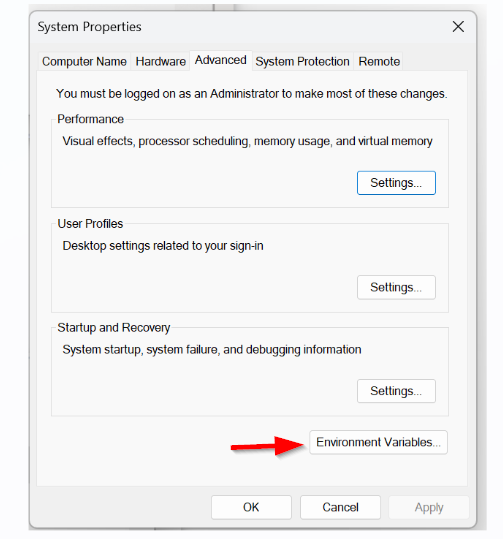 Environment Variable